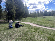 195BA459-ED1E-4A4F-B1CA-DF5947BEE149_1_105_c