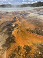 7DF31B7B-C8B4-471D-861E-EE8EAED1B7EF_1_105_c