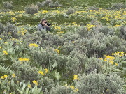 A56FB722-1DD7-4843-81EE-5140D549F244_1_105_c