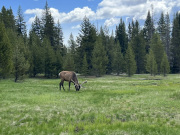 D459C3EA-A6EC-4689-A5B1-17A6AEF95C98_1_105_c