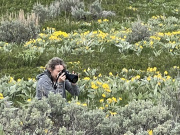 E6E3BDB5-DE17-4D7D-BE44-4077C60BBDC2_1_105_c