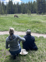 F847DD93-9C41-41CE-B152-54544E6E93C0_1_105_c